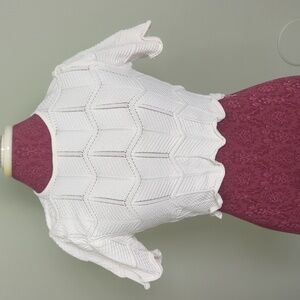 Torn by Ronny Kobo White Flutter Hem Crop Top, L